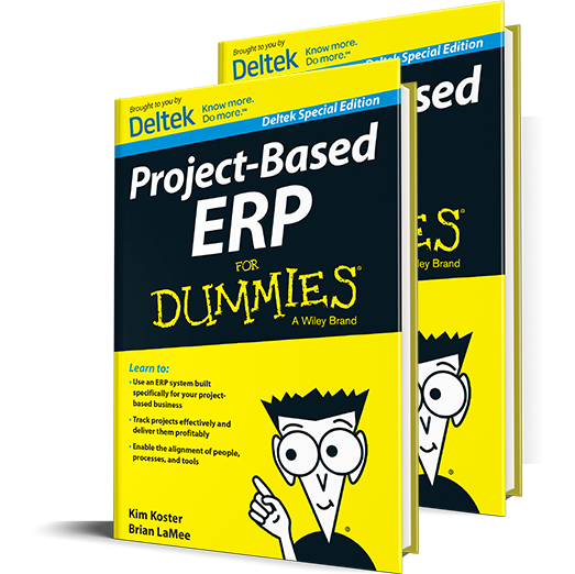 Project-Based Enterprise Resource Planning For Dummies