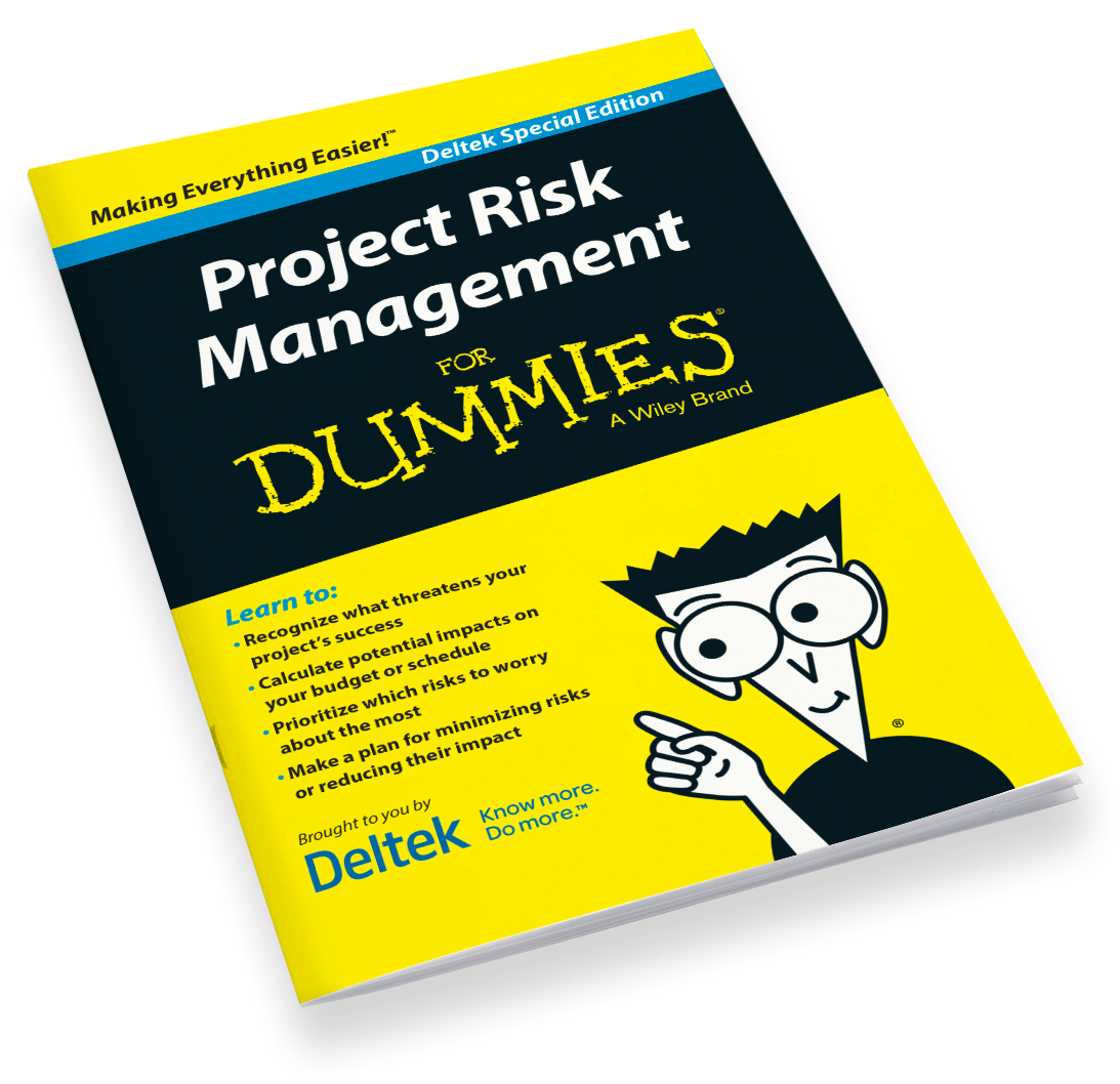 Project Risk Management for Dummies