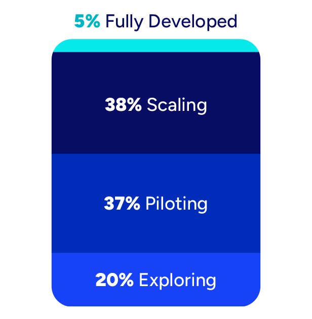 5% Report Fully Developed AI
