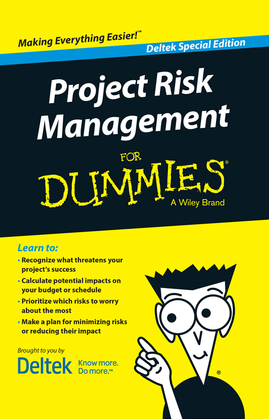 Risk management for dummies pdf